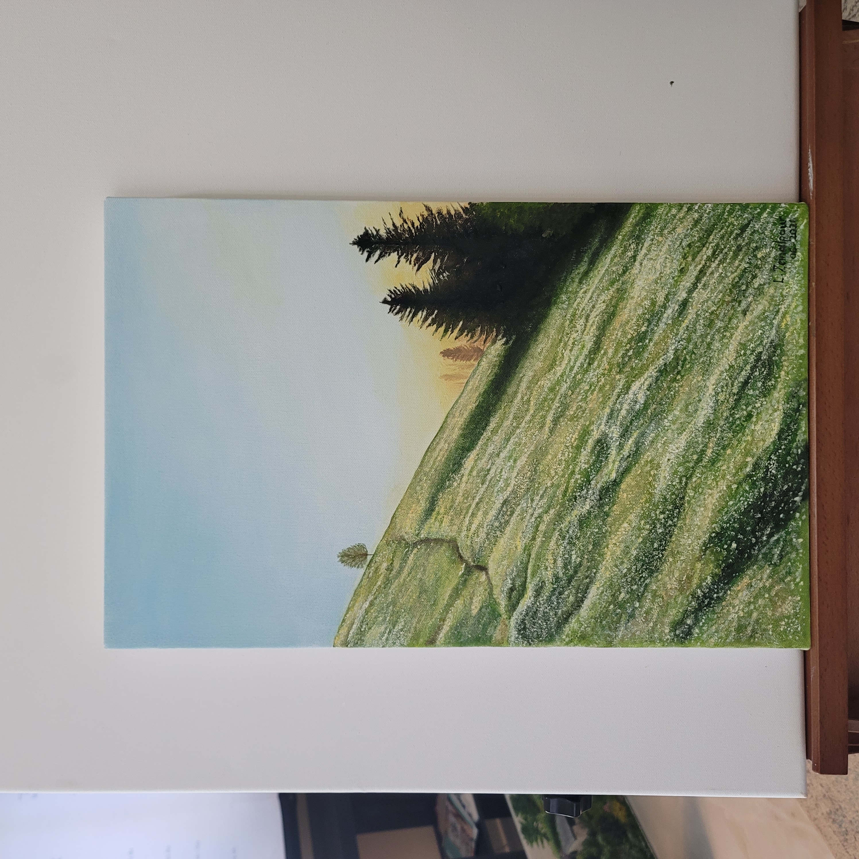 Flower Hill by Leyla Zeinalpour